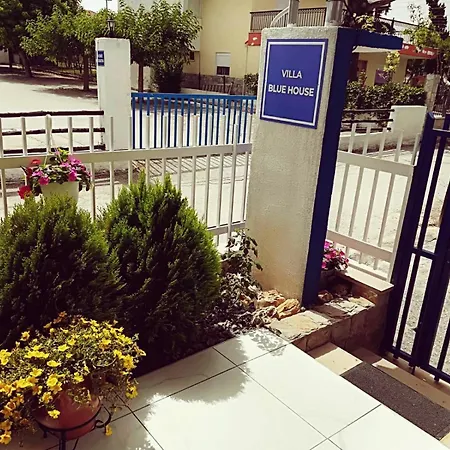 Blue House *