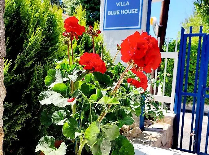 Appartement Blue House *