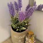 Blue House Apartament