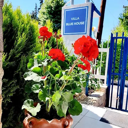 דירה Blue House *
