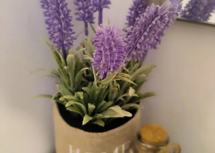 Blue House Apartament