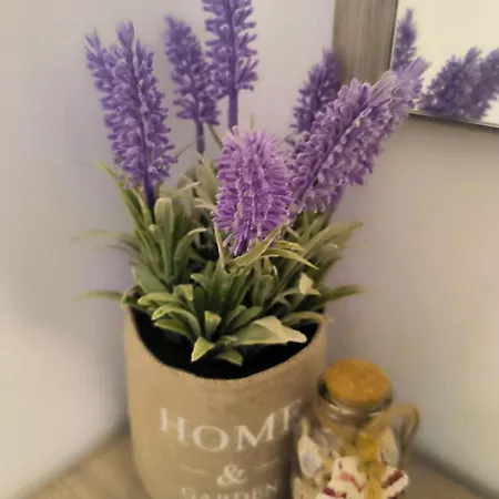 Blue House Апартаменты